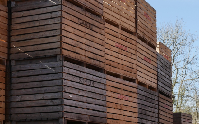 caisses pour le stockage des légumes