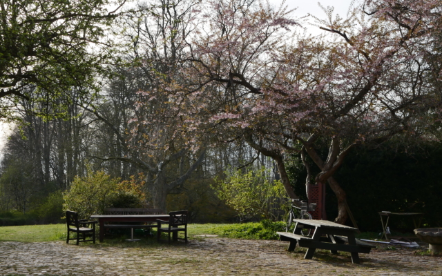 malgré le virus le printemps est là, et ça fait plaisir